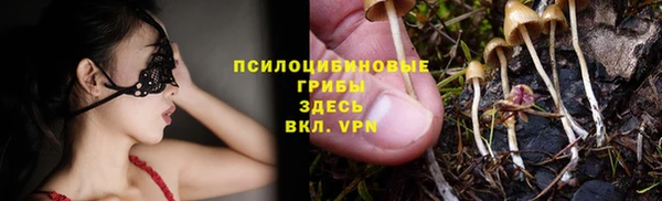 дживик Белоозёрский