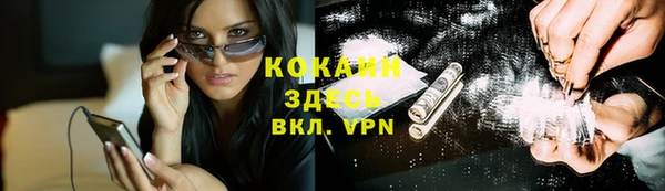 спиды Бородино