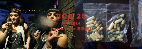 спиды Бородино
